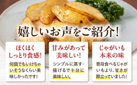 【9月下旬以降順次発送】食べ比べセット 10kg じゃがいも [AJAK032]