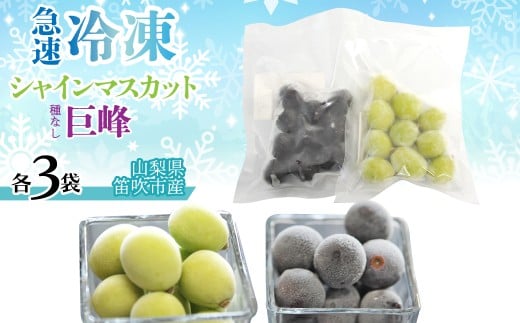 急速冷凍シャイン、冷凍巨峰（各3袋） 230-004-b-1