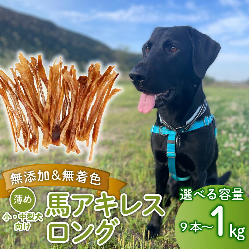 【ふるさと納税】 ドッグフード 馬アキレスロング 薄め 選べる容量 9本～1kg 【 馬 ドックフード アキレス ロング ペット おやつ ペット用品 犬用 無添加 無着色 安心 安全 自然食品 ケーティーコモディティ KT 新潟県 新発田市 KT001P 】