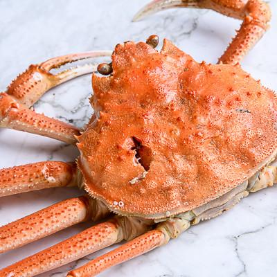 ふるさと納税 森町 ■北海道噴火湾産■【訳あり】冷凍ボイル済・オオズワイガニ 約4.0kg(オスメス小サイズ混合) |  | 03