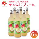 【ふるさと納税】りんごジュース (サンふじ) 6本入｜林檎 リンゴ 果汁100% 産地直送 [0379]