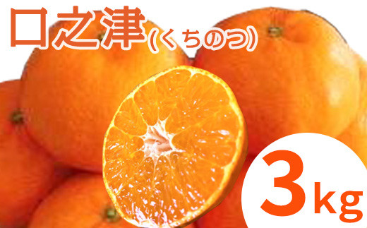 
                  口之津(くちのつ)39号みかん(ハウス栽培) 唐津産 3kg
                
