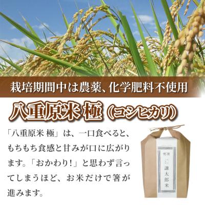 ふるさと納税 東御市 【太陽と大地】令和7年産「八重原産コシヒカリ白米「極」(栽培期間中農薬化学肥料不使用)4kg」 |  | 01