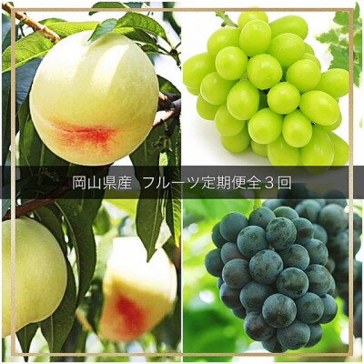 【ふるさと納税】【発送月固定定期便】岡山県産 フルーツ定期便全3回【配送不可地域：離島・北海道・沖縄県】【4079588】