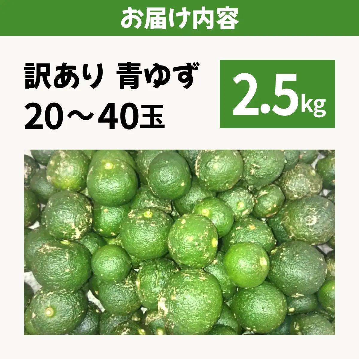 【先行予約】 青ゆず（訳アリ）青柚子 ゆず 柚子 訳あり 2.5kg（20～40玉）
