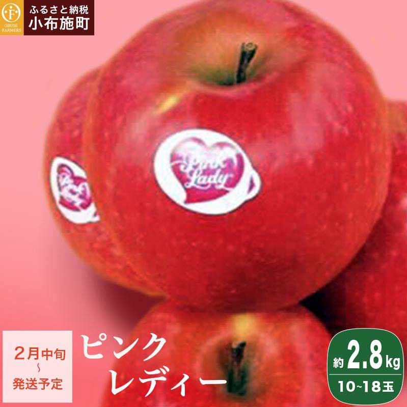 【ふるさと納税】ピンクレディー 約2.8kg 10～18玉［ おぶせファーマーズ ］りんご 林檎 リンゴ フルーツ 果物 くだもの 長野産 信州産 【2026年2月中旬～順次発送】