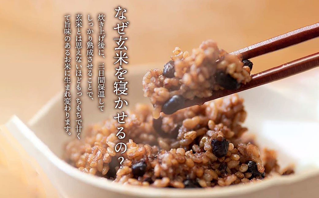 洗わずそのまま GABA 発芽 酵素 玄米 炊飯 セット 3合(450g)