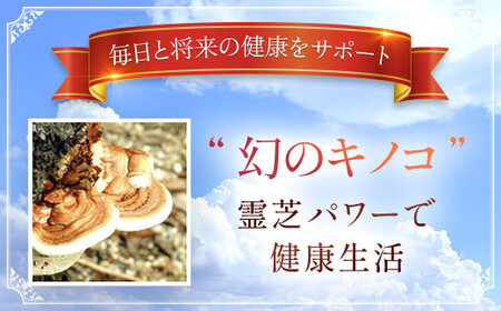 76163_DHC霊芝(れいし) 30日分 2個セット（60日分） MBB058