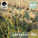 【ふるさと納税】特別栽培米ゆきひかり（無洗米）6kg