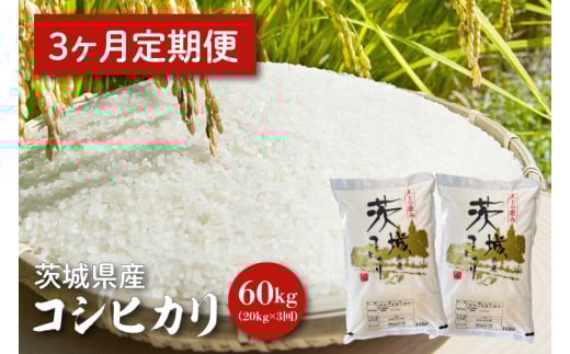 【令和6年産】【３ヵ月定期便】茨城県産コシヒカリ 20kg×3 【定期便 お米 ごはん こしひかり 老舗 米屋 おにぎり ごはん 茨城県 水戸市 60キロ】(HQ-86)