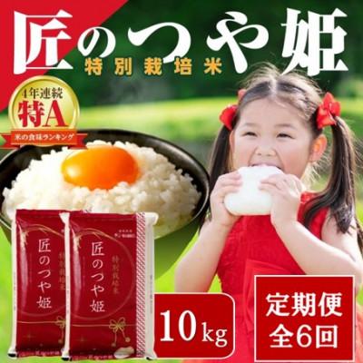 ふるさと納税 浜田市 【毎月定期便】特別栽培米「匠のつや姫」　10kg(5kg×2袋)全6回