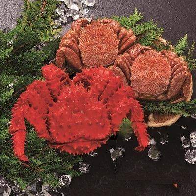 ふるさと納税 根室市 ＜12/21まで年内配送＞★花咲がに1尾と毛がに2尾 C-01025