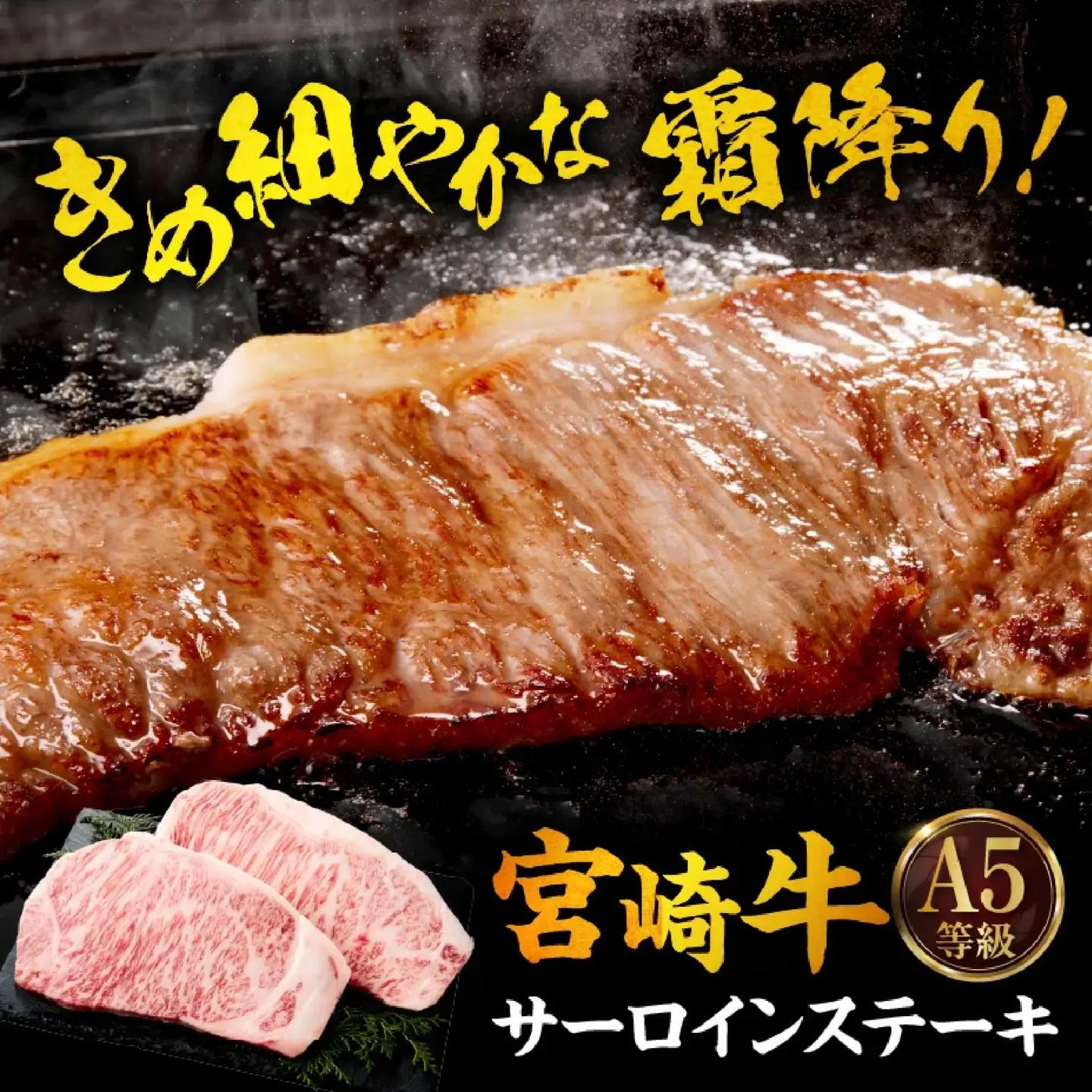 【A5等級宮崎牛】サーロインステーキ・切り落としセット計1kg（小林市産 牛肉 和牛 特選 贅沢 厳選和牛 ブランド牛 ギフト 贈答）