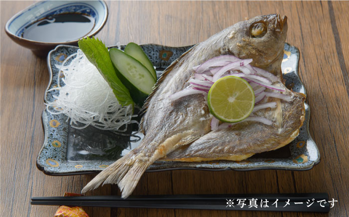 【全3回定期便】壱岐美食の海の幸セット [JBU018] 干物 刺身 アジ イカ 鯛 カマス 36000 36000円