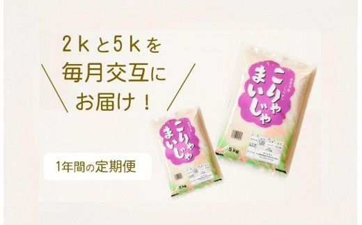 
                  【復興支援】【12回定期便】お米2kgと5kgが交互に1年間届く！こりゃまいじゃ精米(奥能登柳田地区限定コシヒカリ)
                