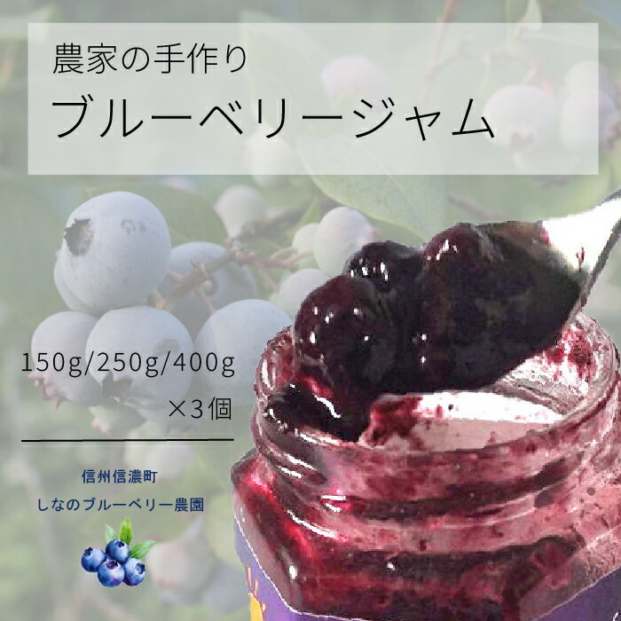 【ふるさと納税】しなのブルーベリー農園「ブルーベリージャム」3個セット　粒が大きく味の濃いハイブッシュ系にこだわったブルーベリーのジャム【長野県信濃町】