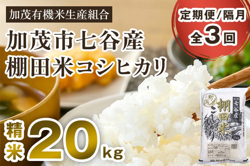 
            【令和7年産新米】【定期便3回隔月お届け】七谷産 棚田米 コシヒカリ 精米 20kg（5kg×4）《順次出荷》白米 加茂有機米生産組合 新潟県 加茂市産 白米 米 お米 定期便
          