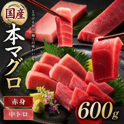 ふるさと納税 松阪市 国産本まぐろ (赤身・中トロ) 短冊セット 600g以上 (150g以上×4本)