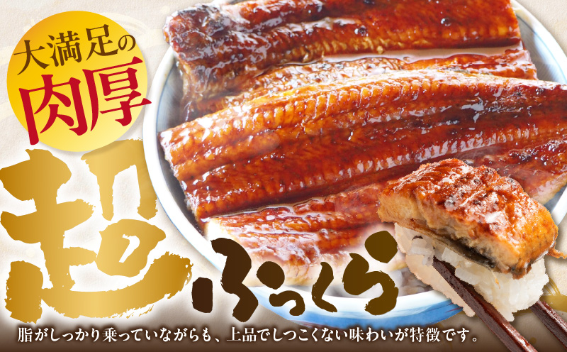 三河一色産 うなぎ 蒲焼《大サイズ》2尾（計330g以上） 国産 鰻 愛知・U023-13