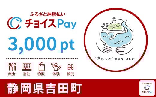 
            静岡県吉田町チョイスPay 3,000pt【会員限定のお礼の品】
          