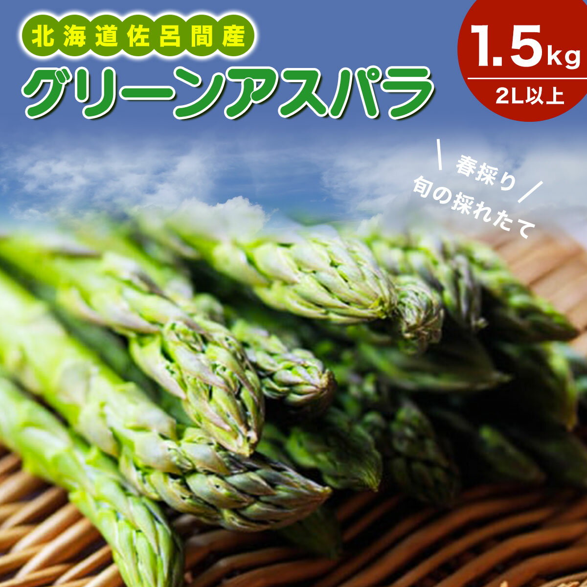 【ふるさと納税】【先行受付】春採りグリーンアスパラ 1.5kg 2L以上 佐呂間町産（2027年3月末より順次発送予定） 【 ふるさと納税 人気 おすすめ ランキング 野菜 アスパラ アスパラガス グリーン とれたて 新鮮 北海道 佐呂間町 送料無料 】 SRMM017