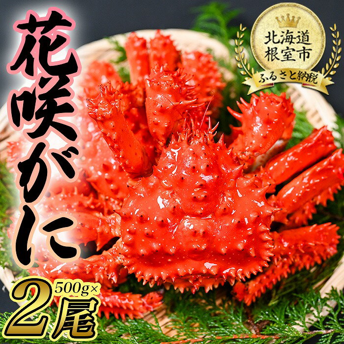 【ふるさと納税】 [北海道根室産] 花咲がに 500g 前後 × 2 尾セット 花咲ガニ 花咲 花咲かに 花咲蟹 かに カニ 蟹 お取り寄せ グルメ 海鮮 ボイル 茹で蟹 茹でがに 茹でガニ 北海道 根室市 ふるさと納税 B-80004