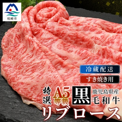 
鹿児島県産黒毛和牛 A5等級特選リブロース 味わいすき焼き用肉 2～3人前 C0-30【1166403】
