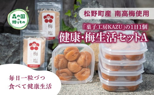 【松野町産 南高梅使用】「菓子工房KAZU」の1日1個 健康・梅生活セットA（４Lサイズ梅干し6個×5箱＋梅塩（50g）×2袋）