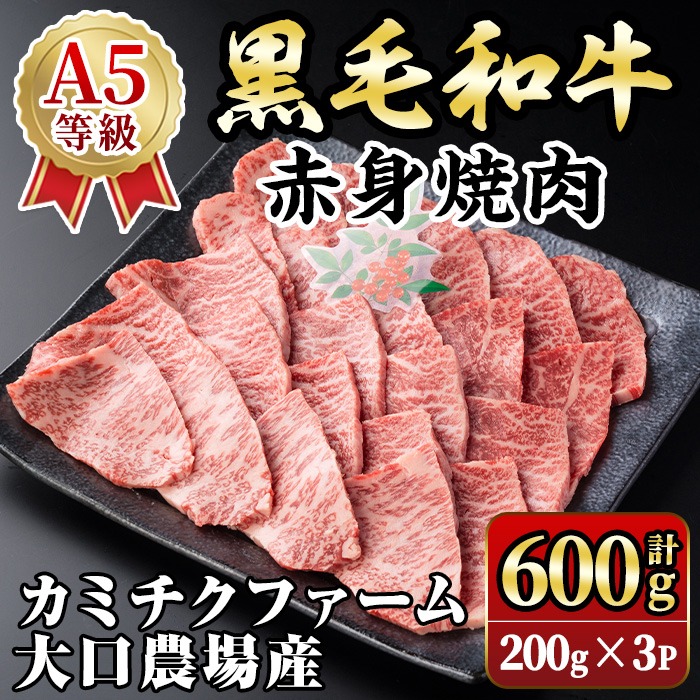 isa691 鹿児島県(カミチクファーム 大口農場)産 黒毛和牛赤身焼肉(計600g・200g×3パック) 黒毛和牛 赤身 焼肉 和牛 国産牛 高級肉 A5 ランク 雌牛 牛肉 焼肉用 BBQ バーベキュー アウトドア キャンプ 高タンパク 冷凍 小分け 【お肉の直売所 伊佐店】