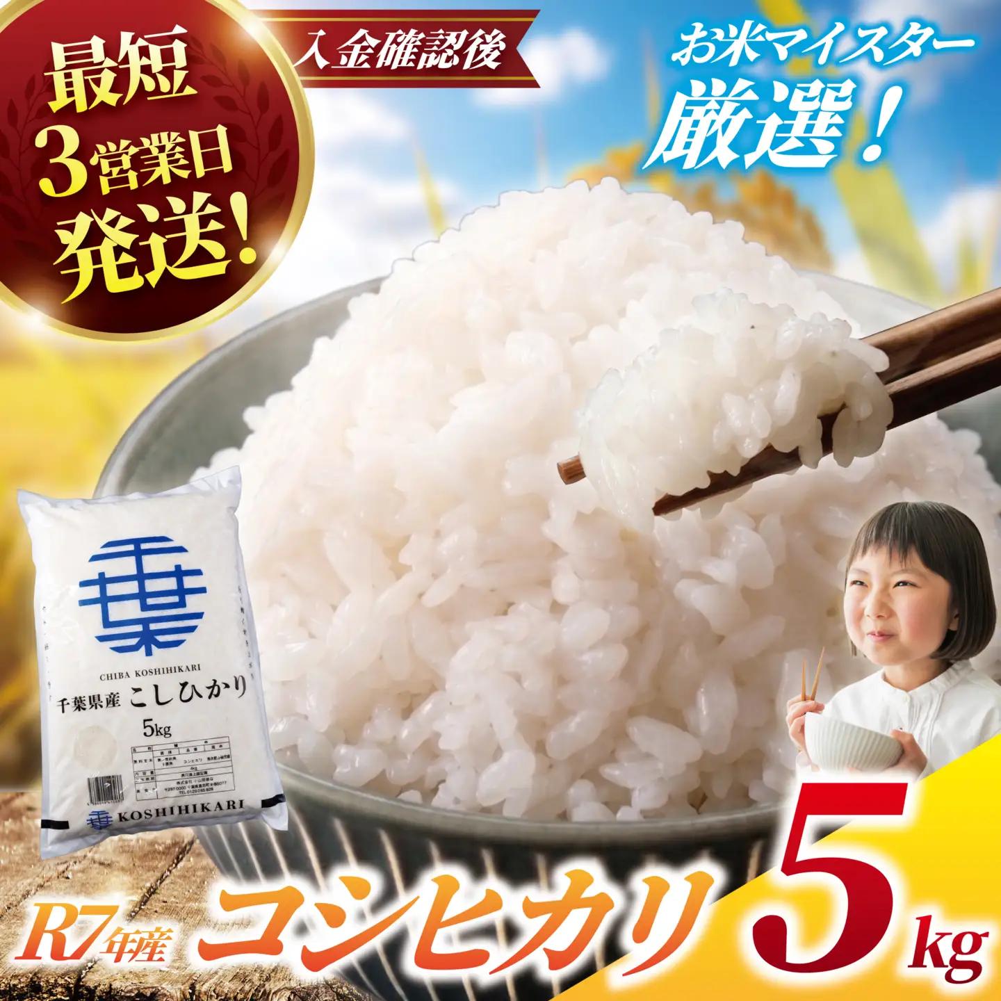 こしひかり 5kg 【コシヒカリ】 8000円 令和7年産 