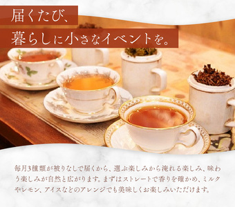 紅茶ティーバッグ 定期便 6ヶ月 10個×3種類/毎月 計180個（18種類） セイロン紅茶専門店 MISTYWICK有限会社《お申込み翌月から出荷》千葉県 我孫子市 紅茶 ティーバッグ 毎月3種類の
