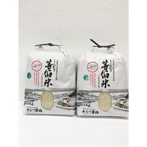 【令和5年産】等伯米コシヒカリ10kg (5kg×2袋)【1071556】