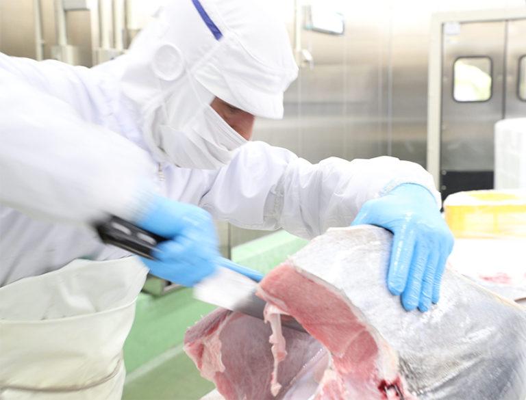 プレミア和歌山認証品 本マグロ（養殖）トロ＆赤身セット　1.35kg［年末発送（12月25日から30日発送）］［KS13］