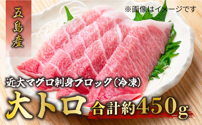 
            長崎県五島産 近大マグロ  （大トロ）刺身ブロック 五島市/五島ヤマフ [PAK017]
          