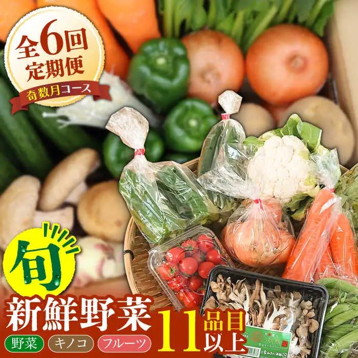 【6回奇数月】野菜定期便 11品目 野菜セット [SCZ005] 