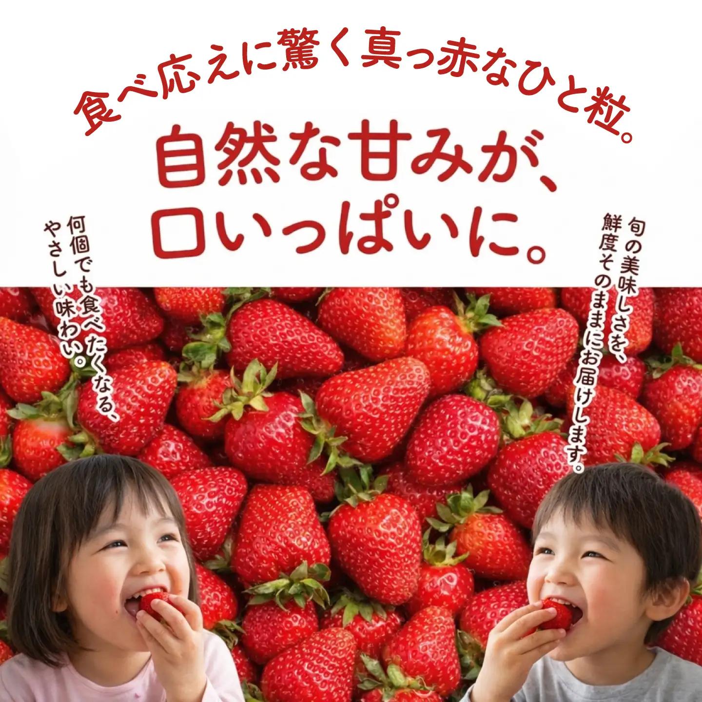 【先行受付】【訳あり】あまおう 4パック いちご 270g×4パック(1.08kg)　【2027年1月以降順次発送】 / 果物 苺 / 糸島市 / 株式会社フルコンス[ALO003]