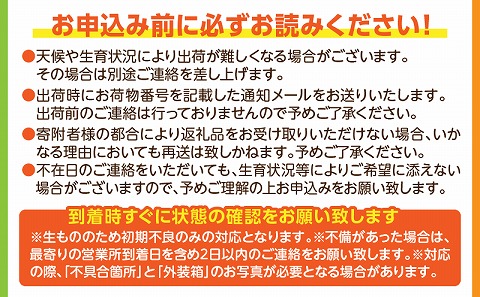 《2025年発送先行予約》【期間・数量限定】完熟マンゴー2L1玉定期便　全3回