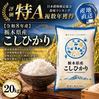 ふるさと納税 真岡市 【令和8年産】栃木の豊かな自然で育んだふっくらあま〜いこしひかり 約20kg(精米)　