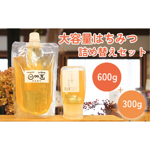 長野原町産 生はちみつ 大容量600gパウチ ＋ 300gボトル 詰め替えセット【蜂蜜 ハチミツ ギフト 詰合せ 群馬県 長野原町 北軽井沢】