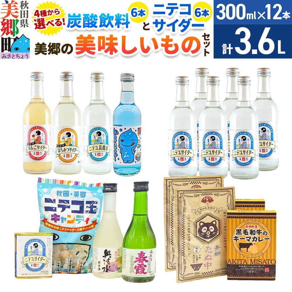 【ふるさと納税】炭酸飲料 ニテコサイダー6本と【選べる炭酸飲料：りんごサイダー／はちみつサイダー／青いミズモサイダー／ニテコ炭酸水】6本と美郷の美味しいものセット