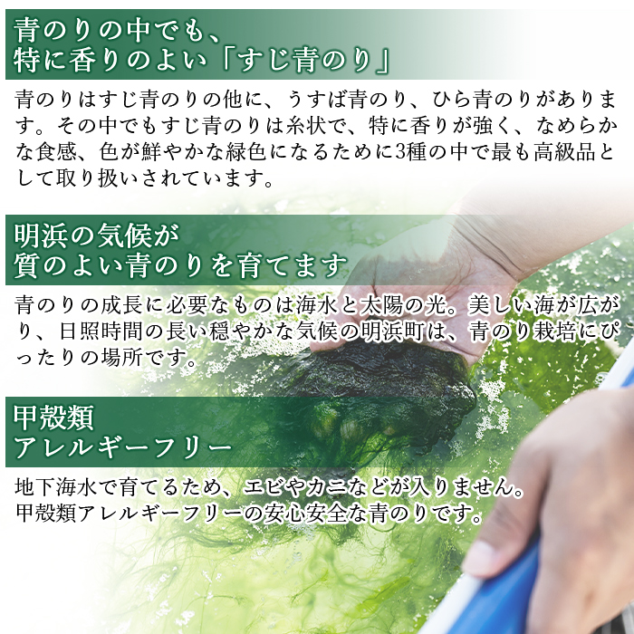 ＜【2回定期便】打ち抜き海水で育てた「すじ青のり」（粉末3g×2パック）＞ 甲殻類アレルギーフリー 色づけ 香りづけ お好み焼き たこ焼き 焼きそば おはぎ ピザ お吸い物 茶碗蒸し 佐藤真珠 愛媛県