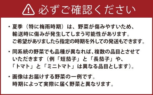 【定期便 奇数月コース】野菜のプロ40年が届ける 厳選野菜セット！ 野菜・フルーツ 15～16品目 詰め合わせ