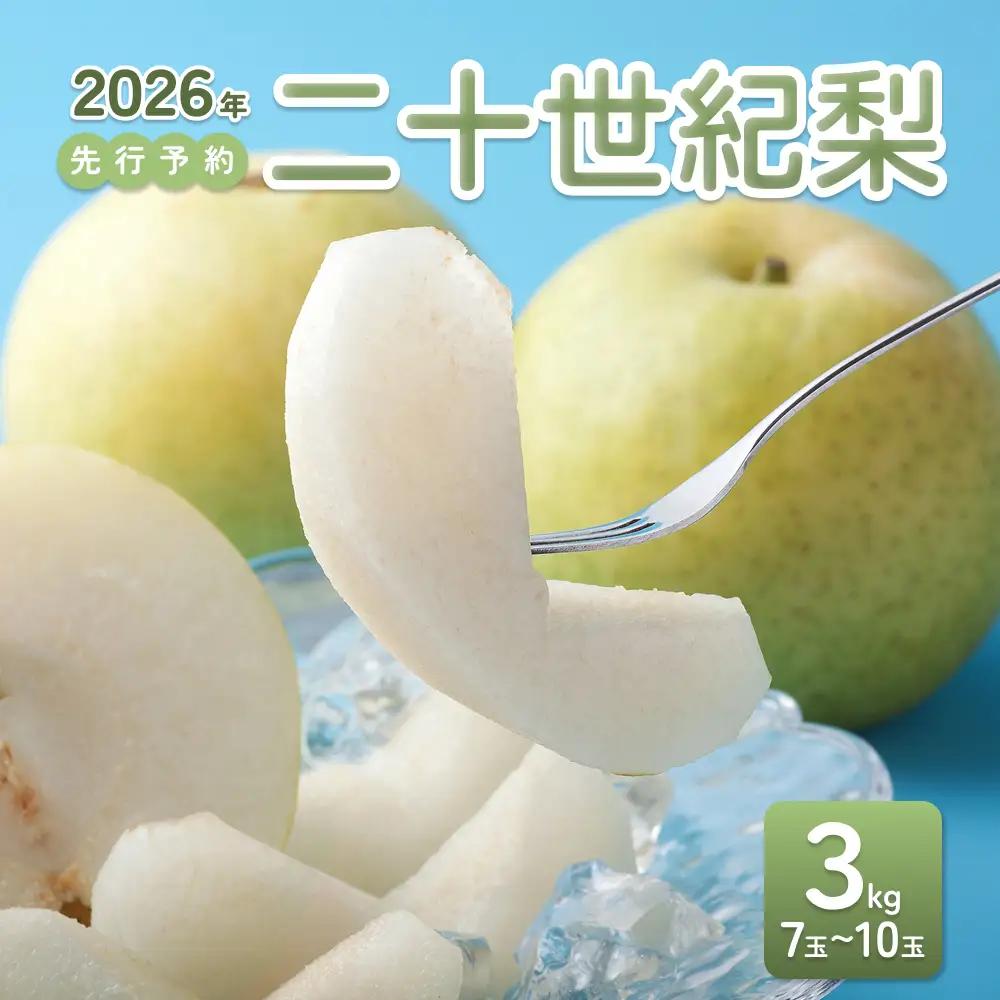 【2026年 先行予約】二十世紀梨 3kg｜鳥取 東光園 梨 2026年収穫後 2026年8月下旬から順次発送【41051】