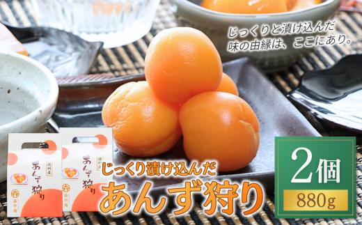 じっくり漬け込んだ「あんず狩り」2個 あんずシロップ漬け シラップ漬け 信州 長野県産 千曲市