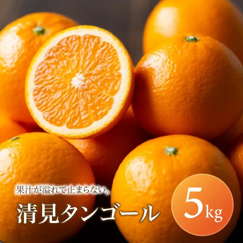 清見タンゴール 家庭用 5kg 【2027年2月下旬頃から順次発送】 | 清見 タンゴール みかん ミカン mikan 蜜柑 訳ありフルーツ 柑橘 果物 おすすめ お勧め お取り寄せ ギフト 愛媛県 松山市 【MKN075】