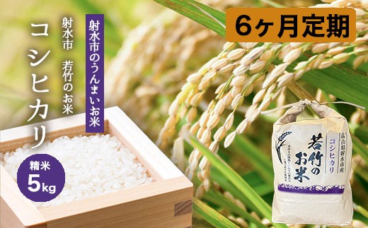 
                  【6ヶ月定期便】【射水市】【射水の美味しいお米】若竹のお米 R8年度産コシヒカリ5kg | 米 こめ コメ こしひかり 先行予約 予約 新米 白米 ブランド米 銘柄米 人気 ランキング 富山 富山米 北陸 北陸米 富山コシヒカリ 北陸コシヒカリ 精米コシヒカリ 5キロ 5キロ米 5kg 5kg米 ※離島への配送不可 ※2026年10月上旬～10月下旬頃に順次発送予定
                