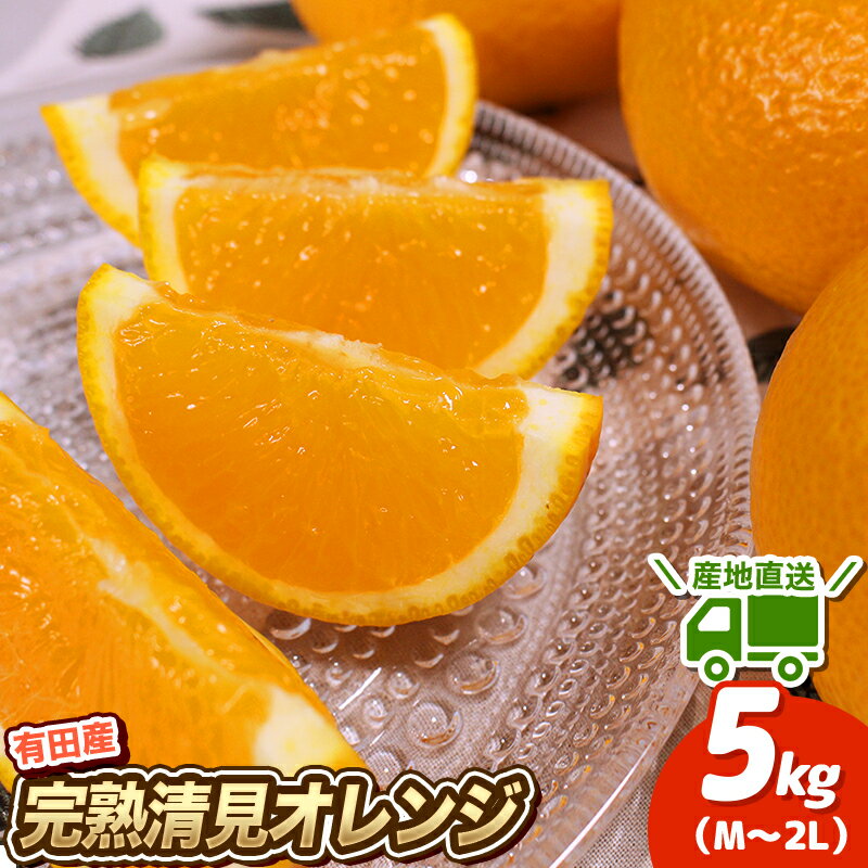 【ふるさと納税】 清美オレンジ 先行予約 ＼ みかんの名産地 和歌山県産／ 農家直送 完熟清見オレンジ 5kg (M〜2Lサイズおまかせ) ひとつひとつ手選別で厳選 【2026年3月中旬～4月下旬頃発送予定】 オレンジ みかん 和歌山