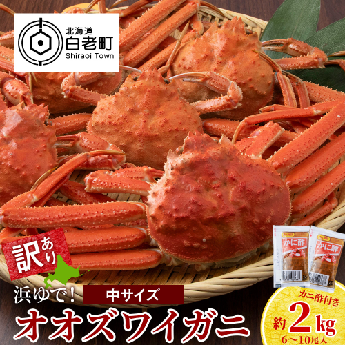 訳あり オオズワイガニオス 中サイズ (約200-350g) 浜ゆで 2kg (6～10尾入) ボイル 北海道