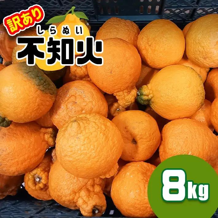 ≪訳あり≫ 不知火 8kg｜味采市場