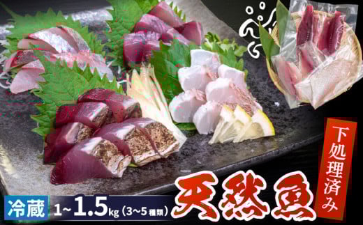 天然 鮮魚 詰め合わせ 朝獲れ直送 下処理済み 3~5種入り 1kg～1.5kg （2025年4月出荷） 冷蔵 刺身 魚種お任せ 水揚げ 海鮮 魚介 産地直送 新鮮 魚 鮮魚ボックス